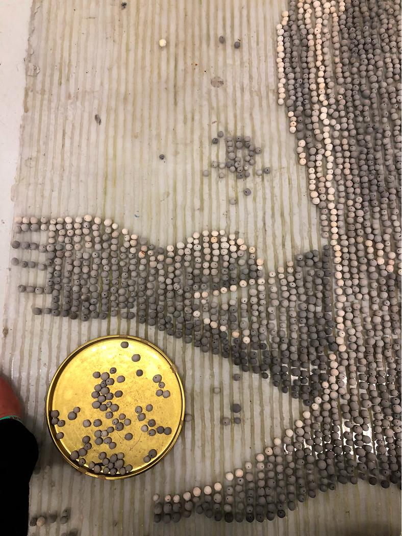 Zoe Paul Interview Answers