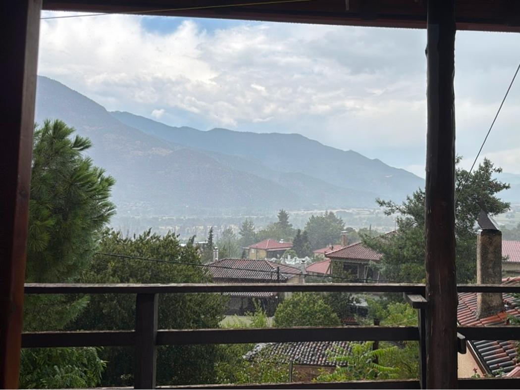 Zoe Paul Interview Answers